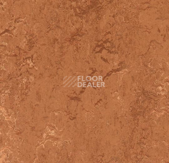Линолеум Forbo Marmoleum Decibel on Order 276735 rust фото 1 | FLOORDEALER